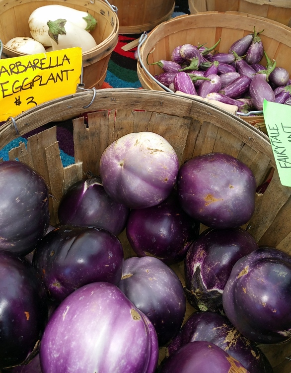 eggplant